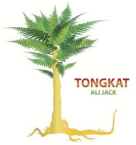 picture of the tongkat ali tree